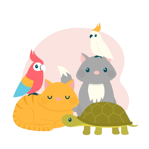 Cuentos_Infantiles_de_Animales-removebg-preview